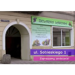 sobieskiego[1].jpg